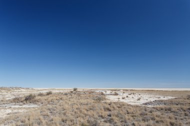 etkin safari park Namibya