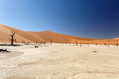 ölü vlei - sossusvlei, Namibya