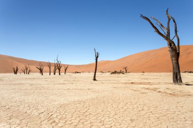 ölü vlei - sossusvlei, Namibya