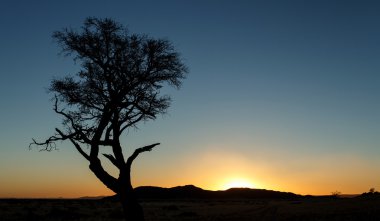 SOSSUSVLEI, Namibië