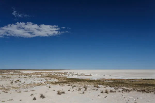 Etosha Safaripark i namibia — Stockfoto