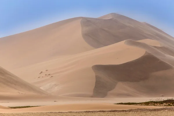 Deserto in namibia, Africa — Foto Stock