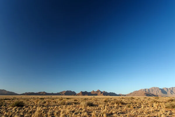 Susza, namibia — Zdjęcie stockowe