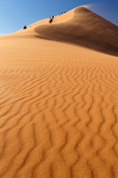 Sanddynlandskap vid sossusvlei — Stockfoto