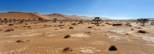 SOSSUSVLEI, Namibië — Stockfoto