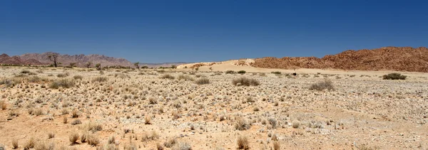 Sossusvlei, Namíbia — Stock Fotó