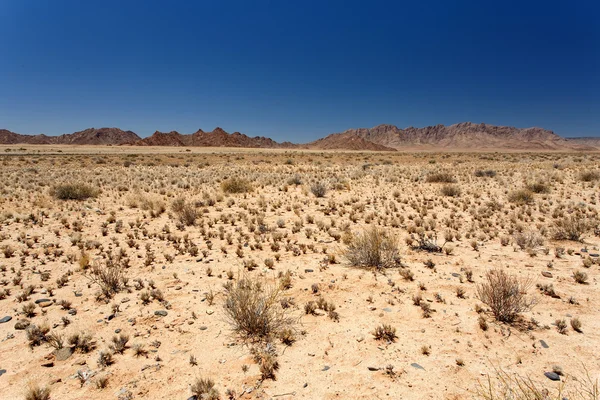 Sossusvlei, Namibie — Photo