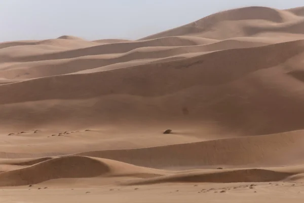 Zandduinen in namib desrt — Stockfoto