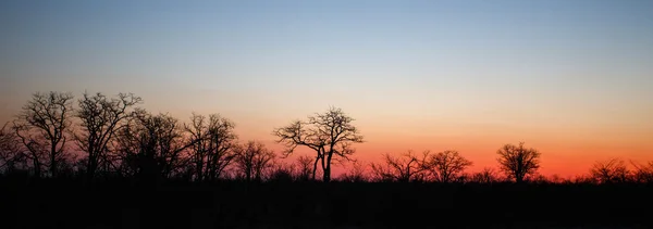 Parque Nacional Chobe — Foto de Stock