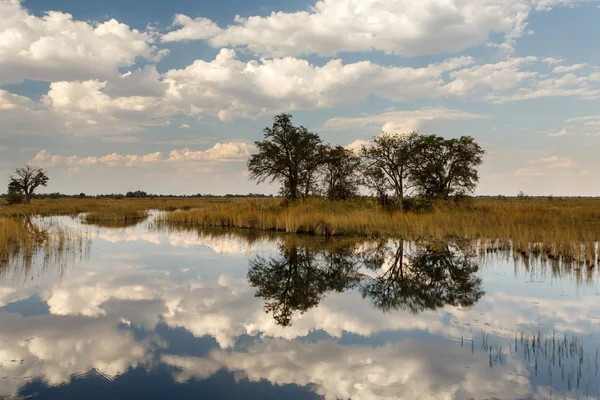 Okavango-Delta — Stockfoto