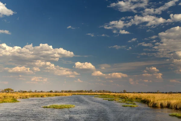 Okavangodelta — Stockfoto