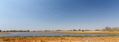 Okavango Deltası