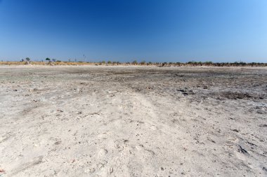 Okavango Deltası
