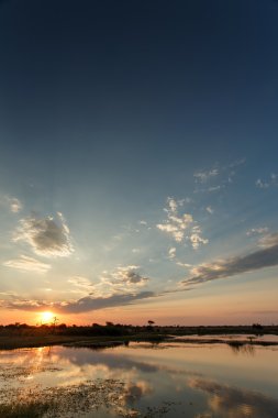 Okavango Deltası