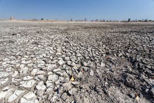 Delta do Okavango — Fotografia de Stock