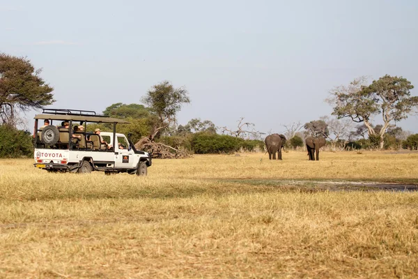 Chobe National Park — Stock Photo, Image