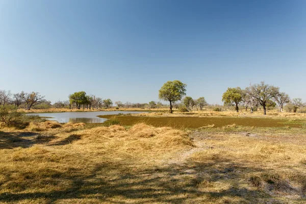 Okavango delta — Stockfoto