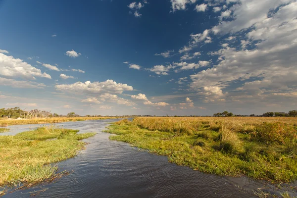 Okavango Delta — Stock Photo, Image