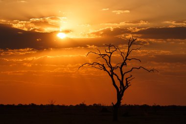 Sunset Over Chobe National Park clipart