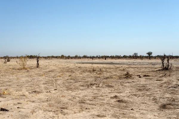 Delta do Okavango — Fotografia de Stock