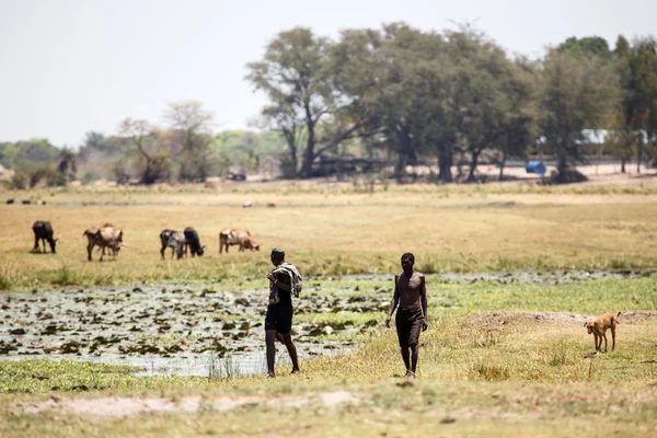 Afrikaanse mensen op chobe rivier — Stockfoto