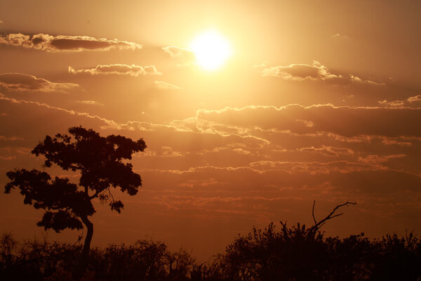 Sunset Over The Chobe National Park, Botswana, Africa