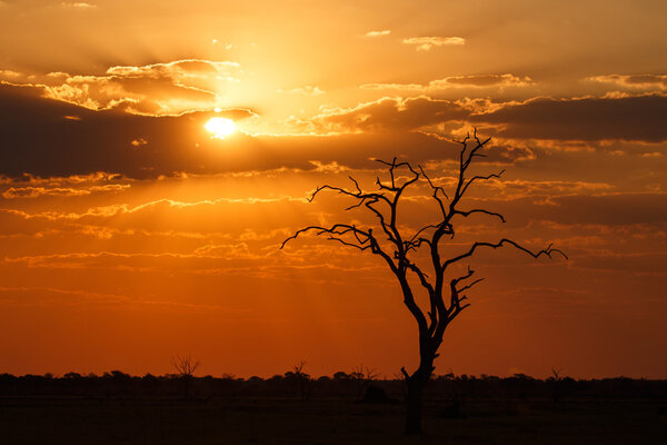 Sunset Over Chobe National Park