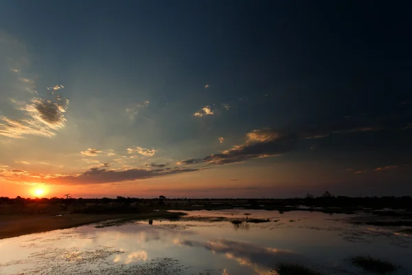 Delta Okawango — Zdjęcie stockowe