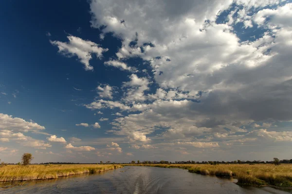 Delta Okavango — Fotografie, imagine de stoc