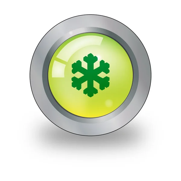Graphic illustration of web icon with snow sign over button — Stock Vector