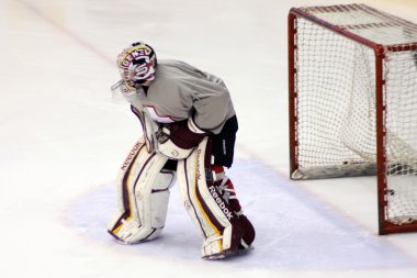 İsviçre takım buz hokeyi kaleci