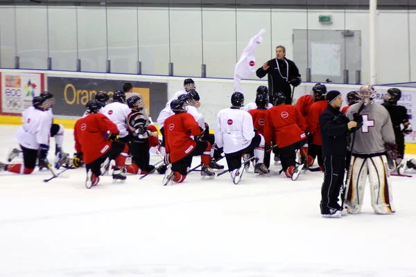 Équipe de Suisse de hockey sur glace à l'entraînement — Photo