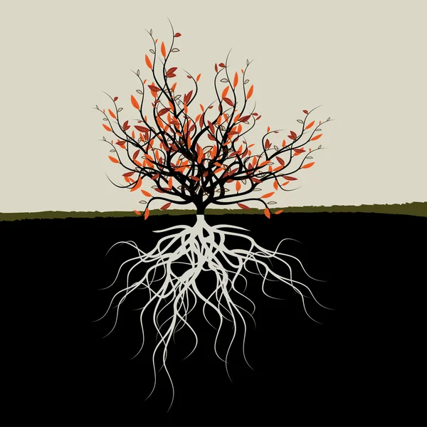 Ilustración gráfica del árbol con raíces — Vector de stock