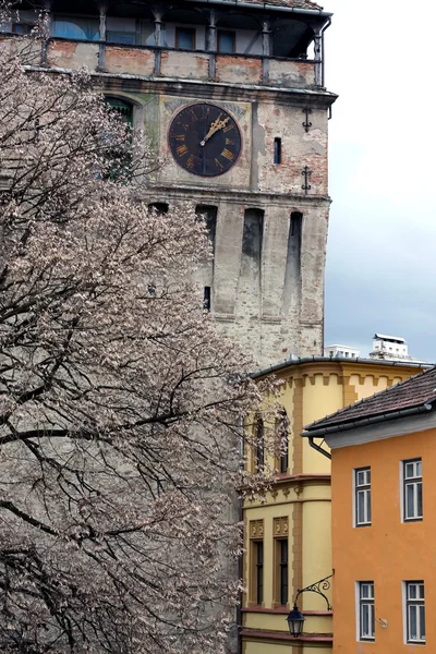 Вид збоку годинникова вежа Сігішоара Цитадель — стокове фото