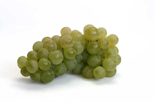 Rama de uva aislada sobre fondo blanco — Foto de Stock