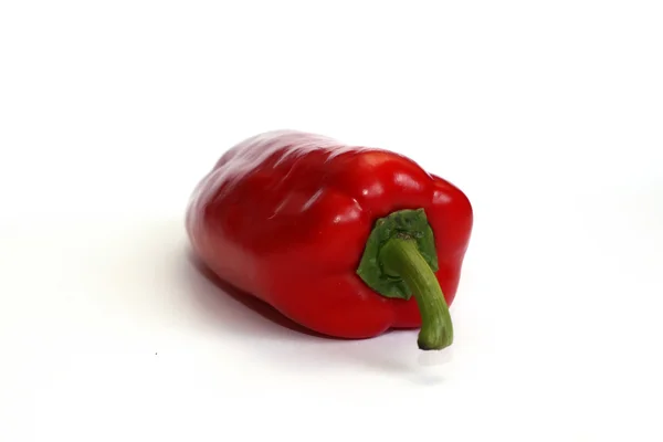 Een geïsoleerde rode peper — Stockfoto