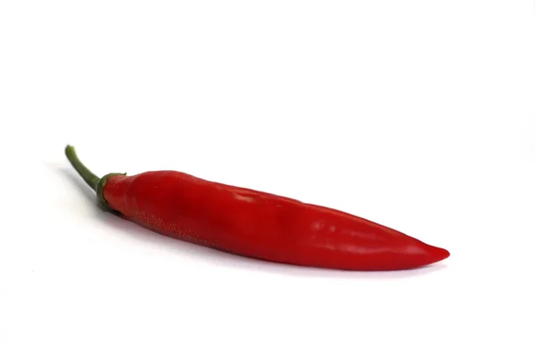 Rode peper op witte geïsoleerd — Stockfoto