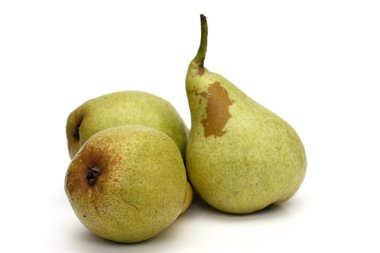 beyaz zemin üzerinde üç armut