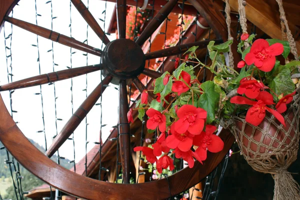 Decorative red flowers — Stock Photo, Image