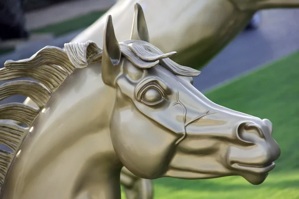 Золотая голова лошади — стоковое фото