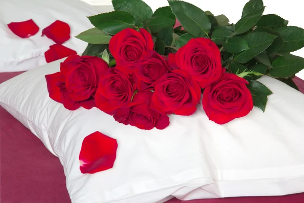 在枕头上的红玫瑰 — 图库照片