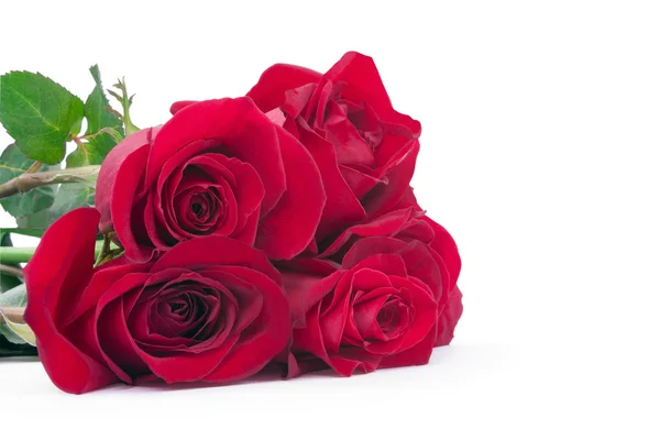 Rode rozen in een boeket — Stockfoto
