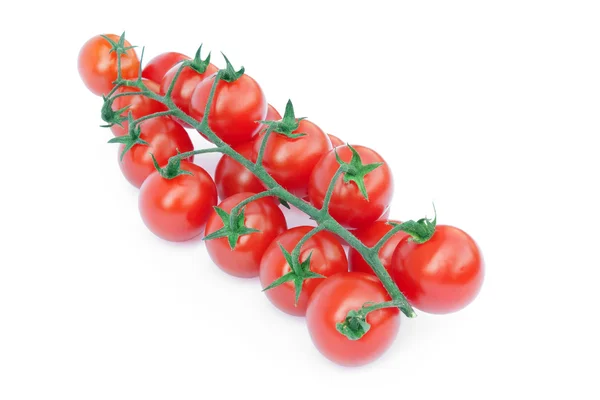 Tomates de sino na vinha — Fotografia de Stock
