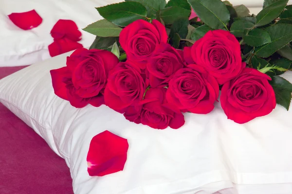 枕と赤シートに赤いバラ — ストック写真