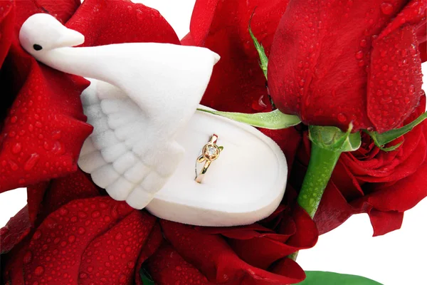 Золотое кольцо в коробке в виде лебедя на розах в капли росы — стоковое фото