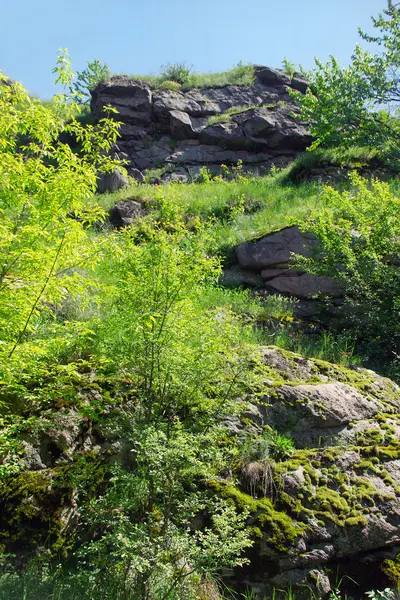 Top van de berg met een boom en gras rond — Stockfoto