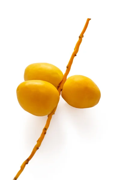 Bunch of yellow dates — Stock Photo, Image