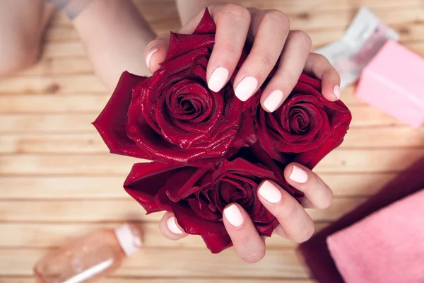 Mãos Femininas Com Manicure Segurar Uma Rosa Vermelha — Fotografia de Stock