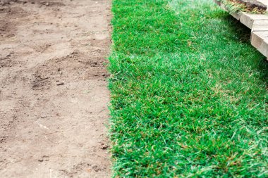 Yeşil bir çimenlikle kaplanmış toprak.