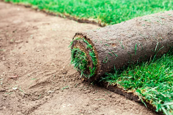 Bodembekleding Met Groene Rollen Van Een Gazon — Stockfoto